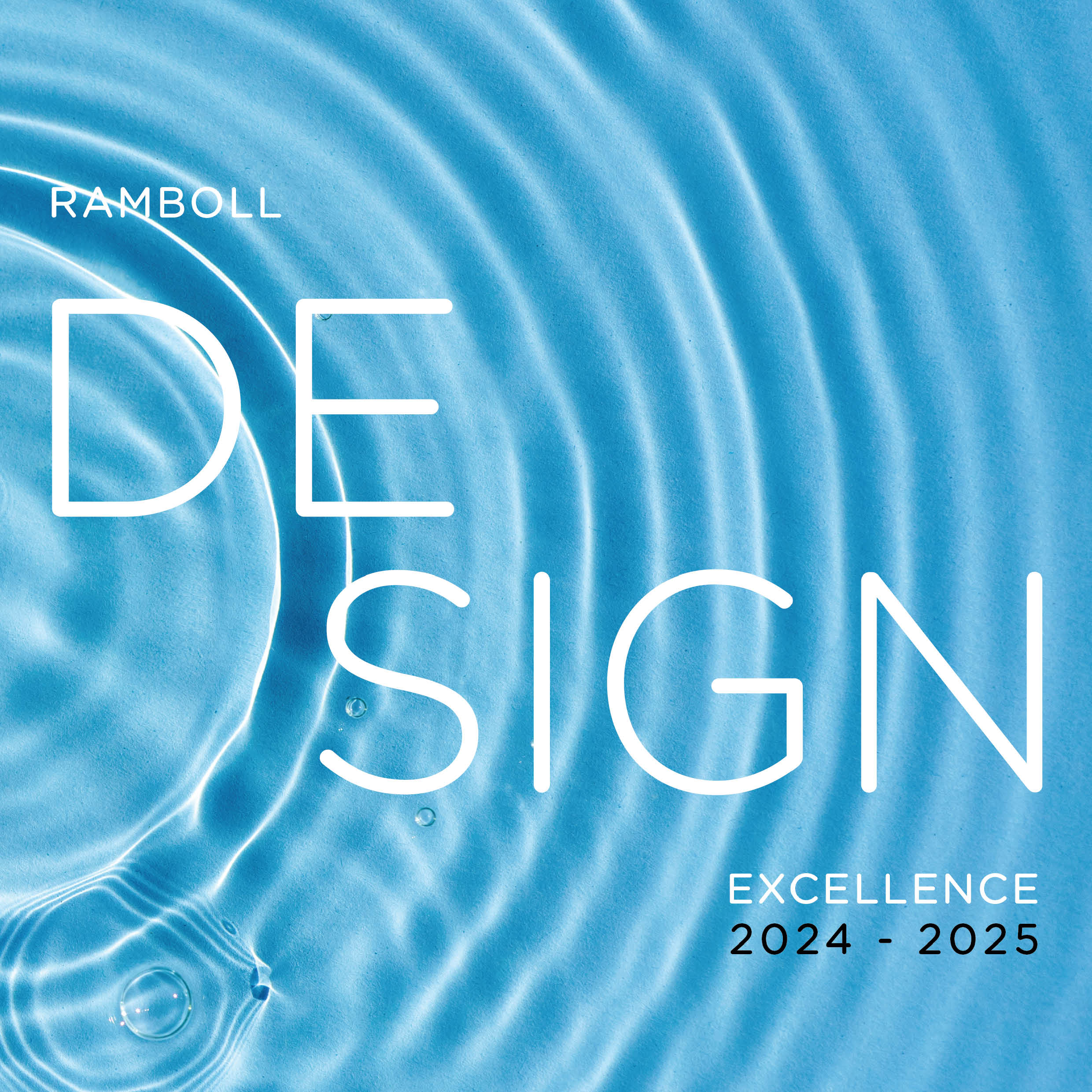 4833_Design Excellence 2024-2025 (Print)