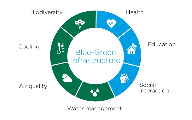 blue-green infrastructure