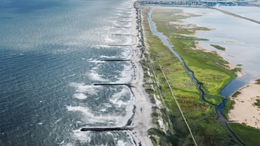 ClimateResilience#1 (1)