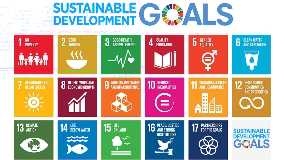 sustainable development goals