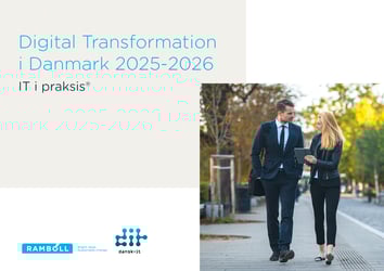 DK ITIP 2025 Report Image 1 - 113109 DK ITIP 2025 Report Image 1 - 113109