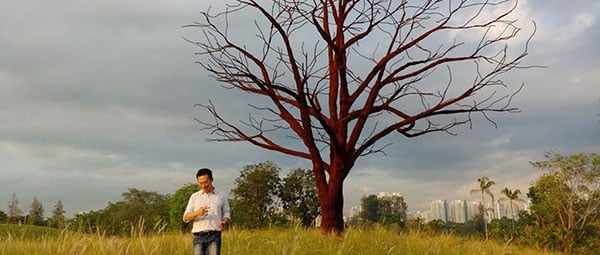 Jurong-Lake-Garden-Lone-Tree_18237