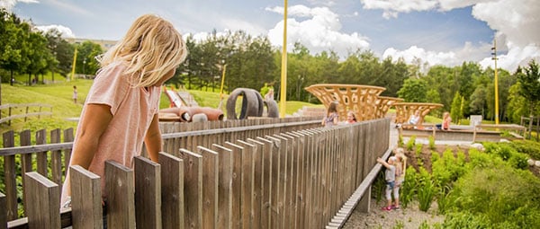 The-just-transition_600x255