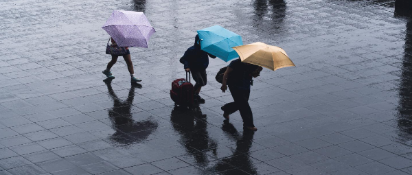 fotor_2023-2-7_13_50_52