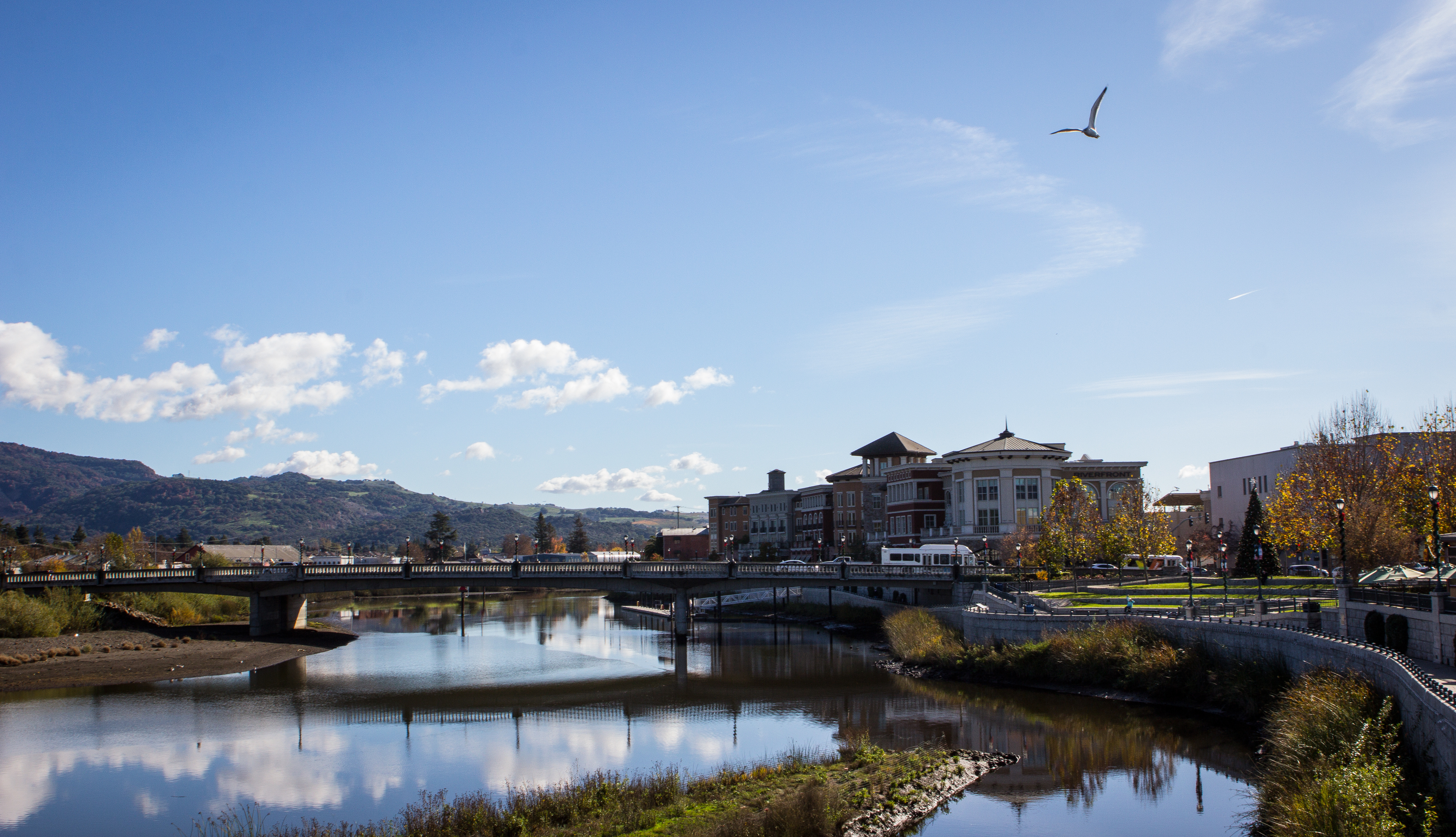AdobeStock_217646266- 136415