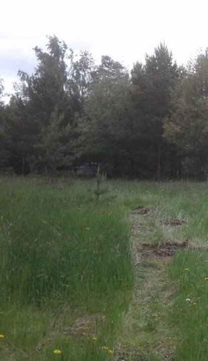 Naantali-vanhan-maankaatopaikan-pilaantuneisuustutkimus