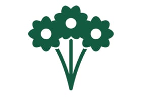 Flower-icon-Ramboll