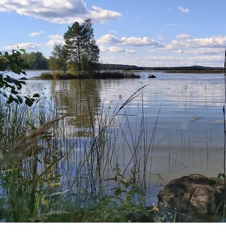 Referenssi-Etela-Savo-alueellinen-vesienhoidon-yleissuunnitelma-projektikuva