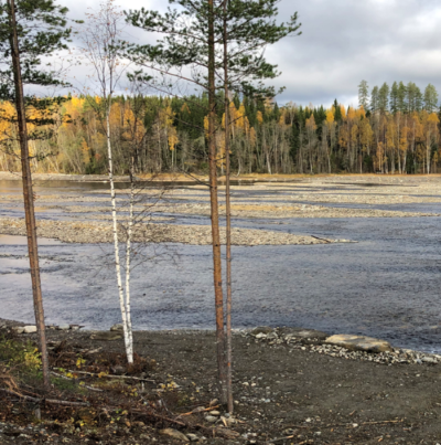 Referenssi-saimaanlohen-poikastuotantoalue-projektikuva