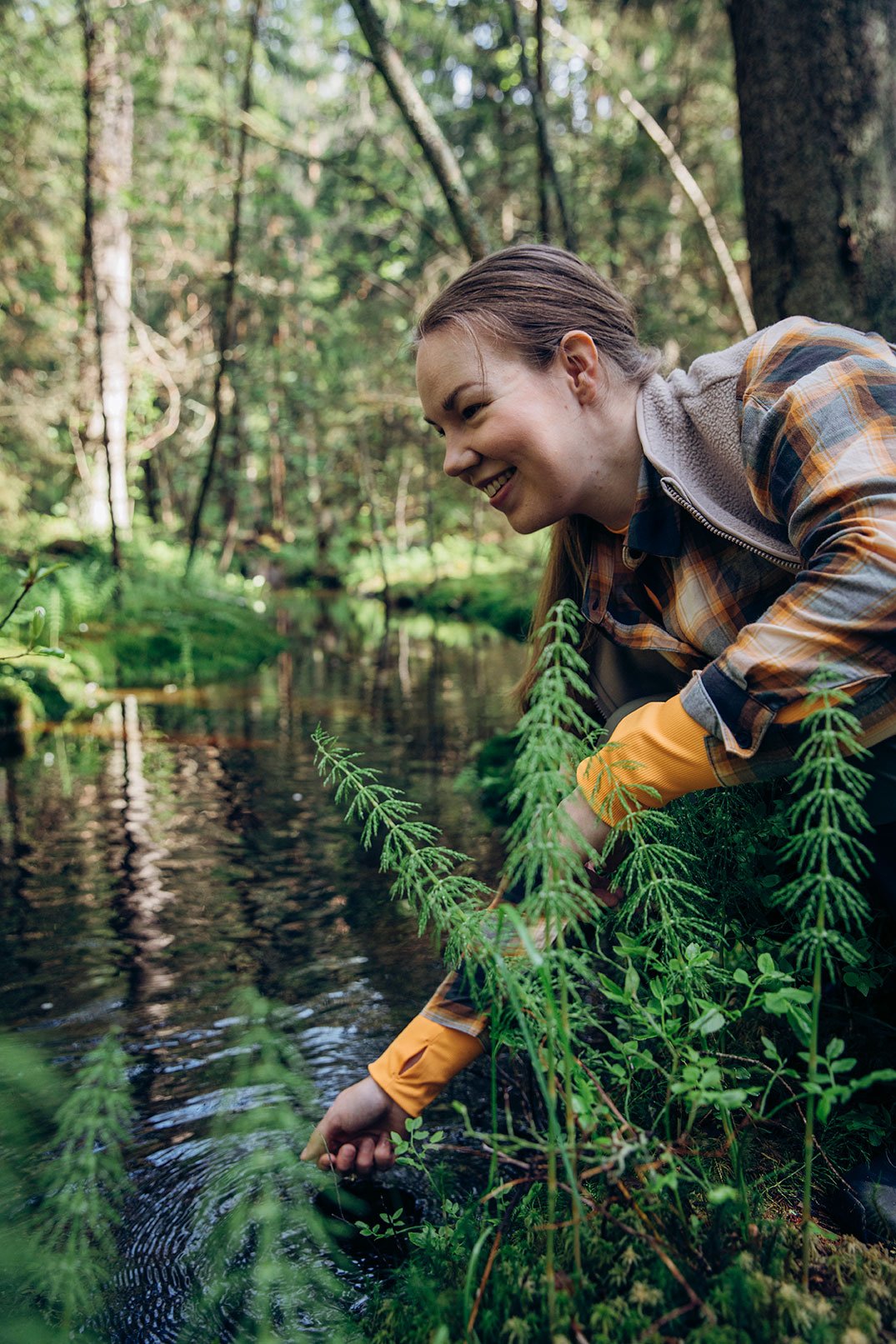 biodiversiteettistrategia-ElinaManninen-brand-picture