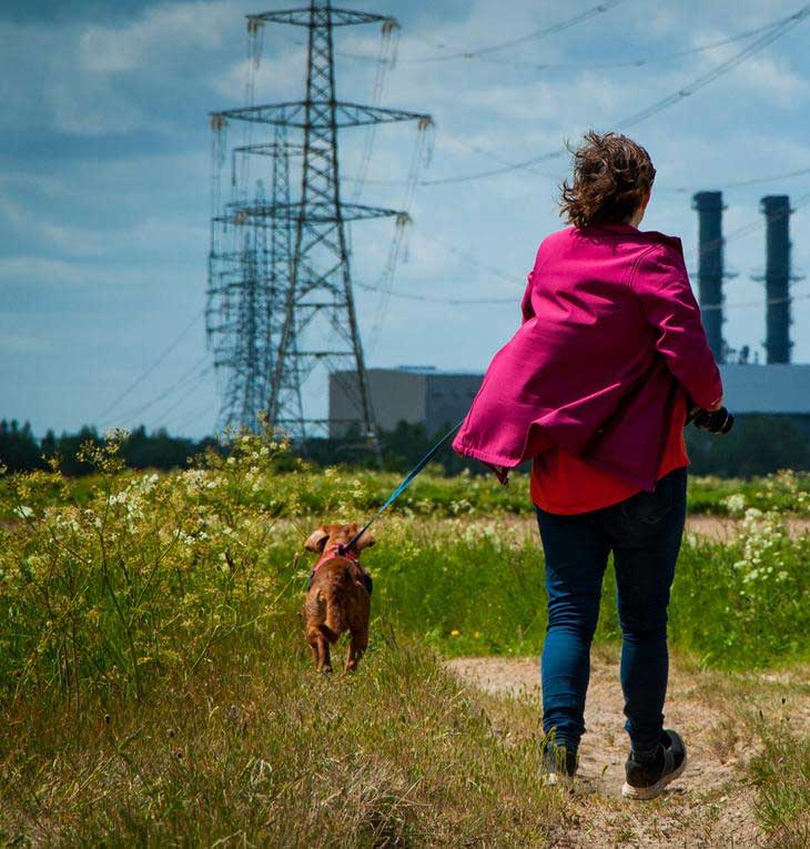 AdobeStock_356593887-crop