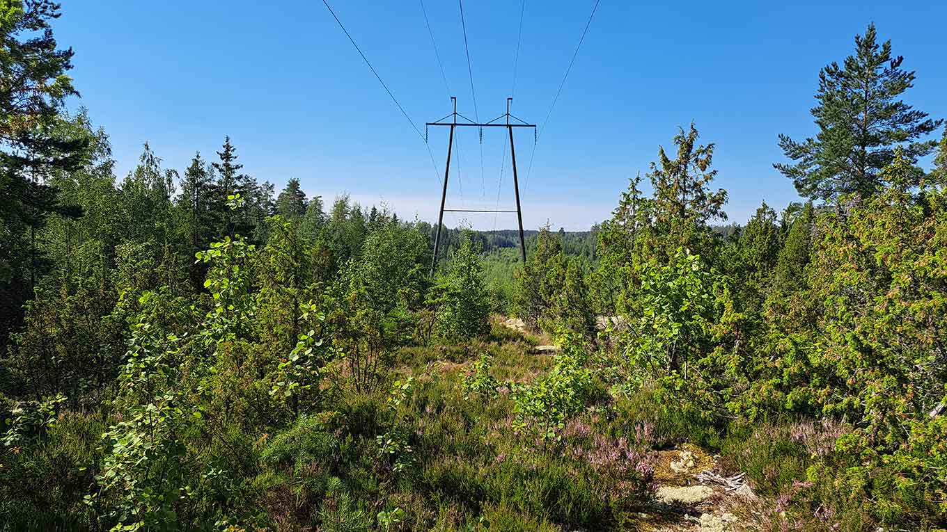 Biodiversiteetti-Lahti-Energia-C-IidaOsterman-1360x765