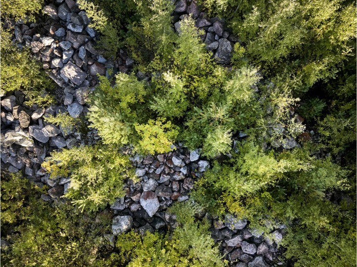 Espoo-ekologisen-yhteyden-tarkastelu-2025-referenssikuva