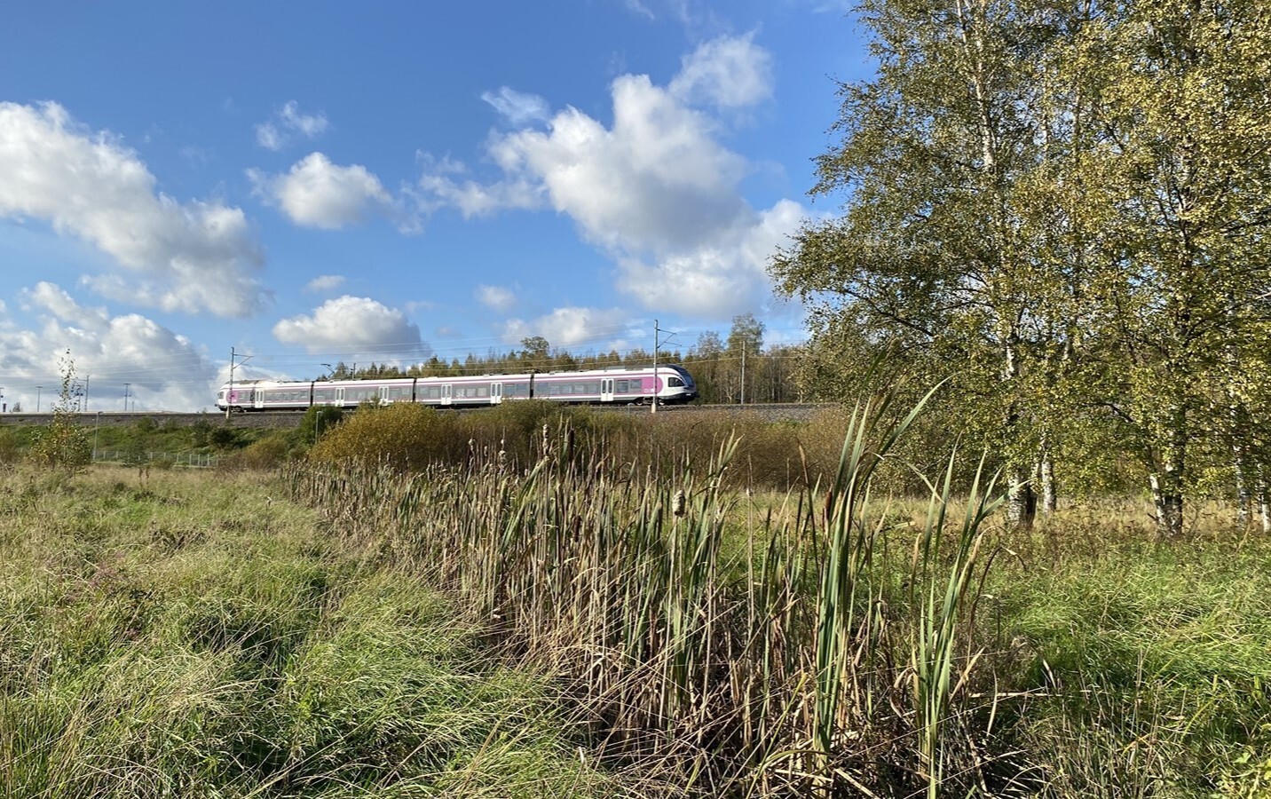 Pitkajarvi-vesienhallinta-NBS