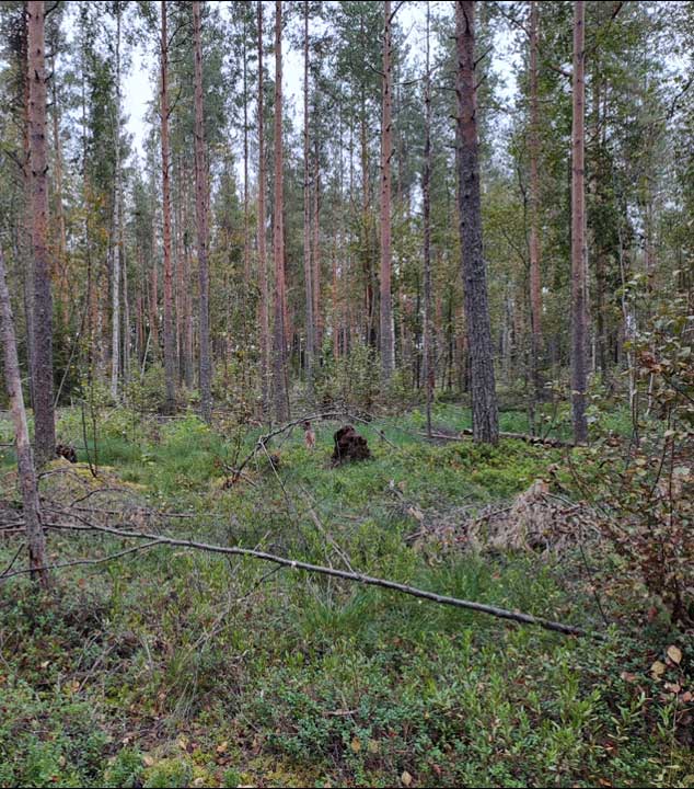 Kaivosalueen-ympariston-haitta-aineselvitykset
